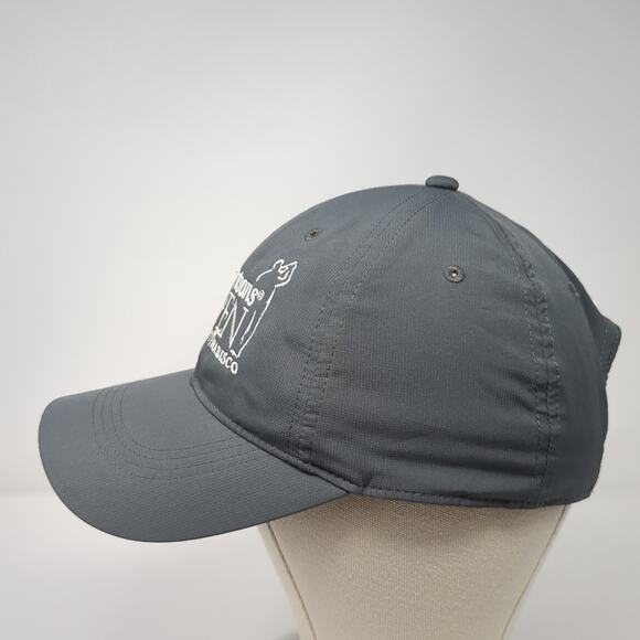 Albertsons Boise Open Strapback Hat Gray One Size Embroidered Nike Golf - Picture 3 of 10